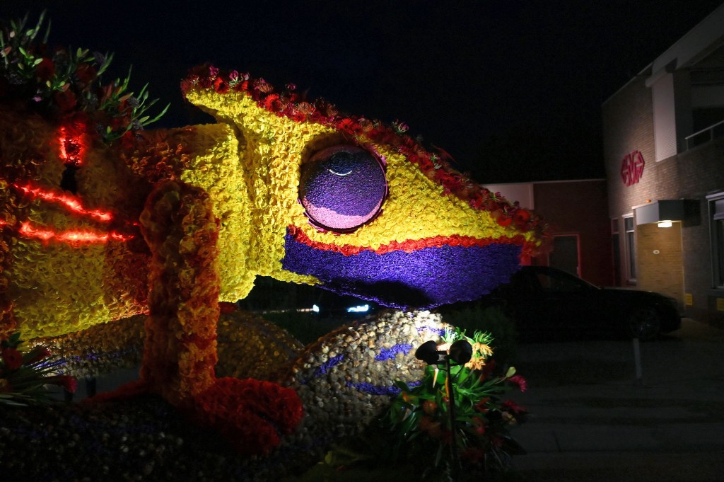 ../Images/Verlicht bloemencorso 2024 131.jpg